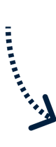 Supports Hormone Balance